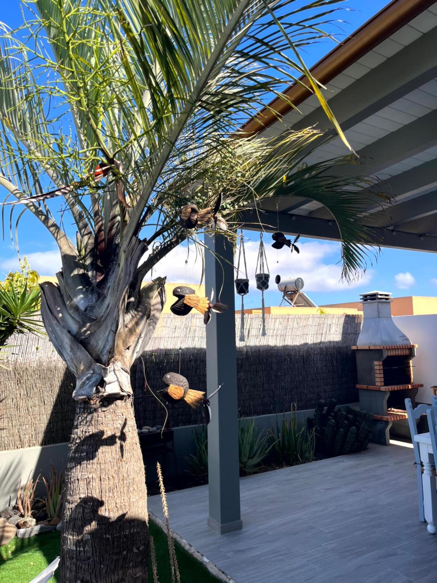 Villa Papi ลาโอลีวา ภายนอก รูปภาพ